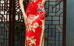 把腿张开让老子臊烂你的动漫视频